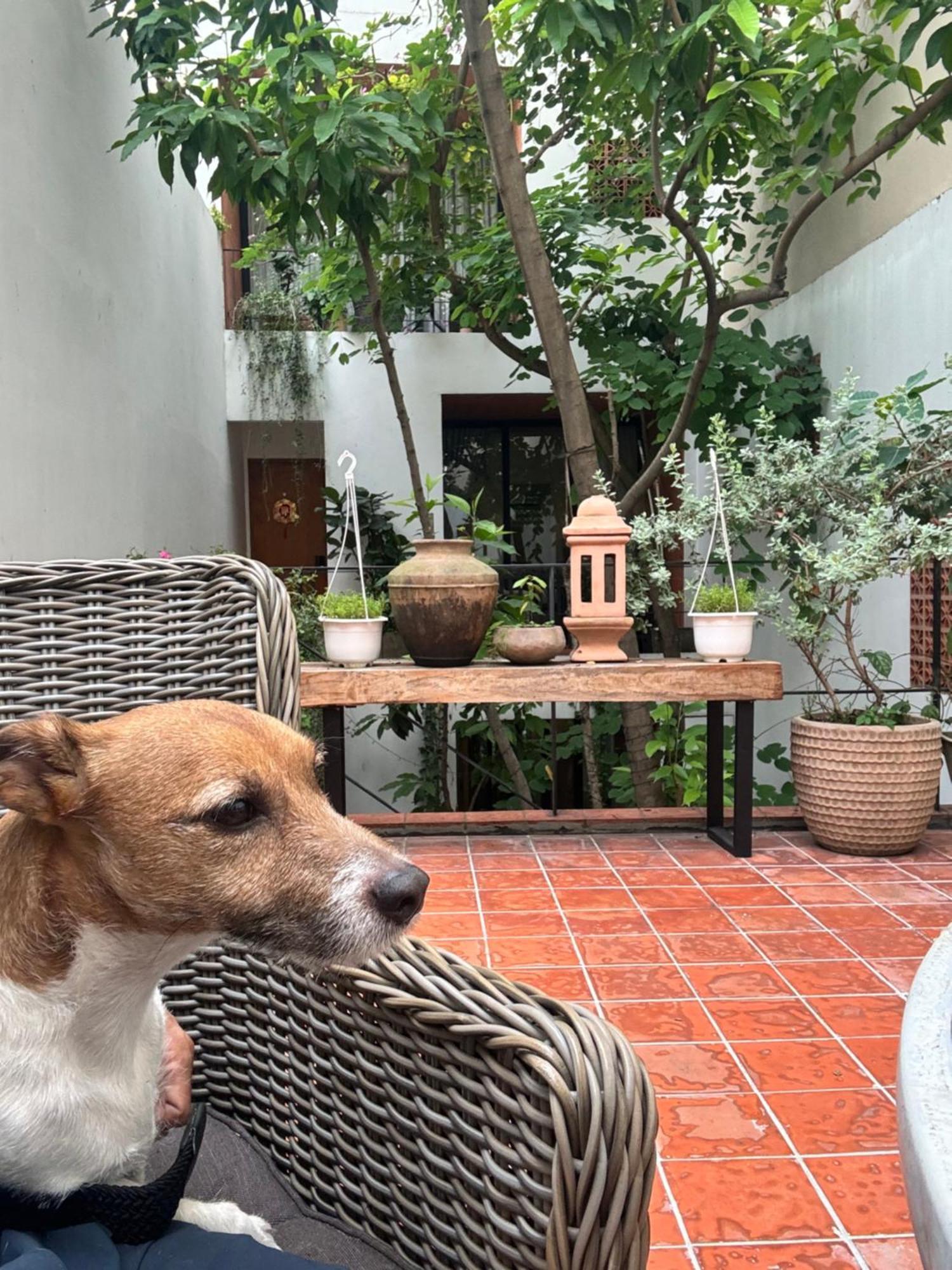 Notre Maison 8 Saigon Close Landmark 81 Building Ho Chi Minh Zewnętrze zdjęcie